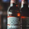 Budweiser 